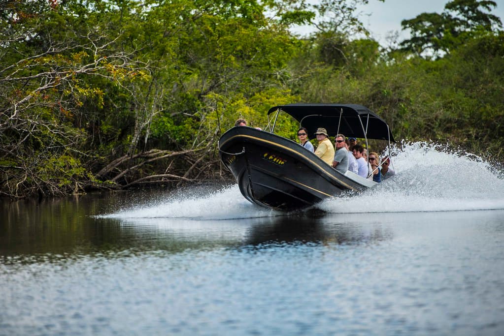 Belize River Views